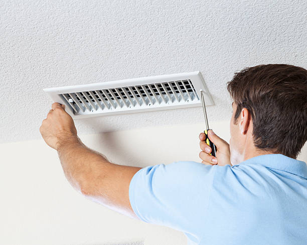 Best Mold Prevention Services  in Wayne, PA