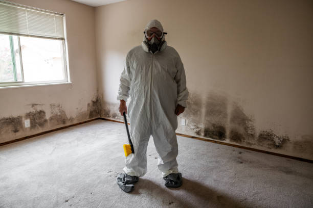 Best Commercial Mold Inspection  in Wayne, PA